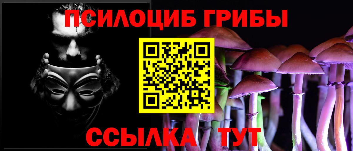 Галлюциногенные грибы Cubensis Моршанск
